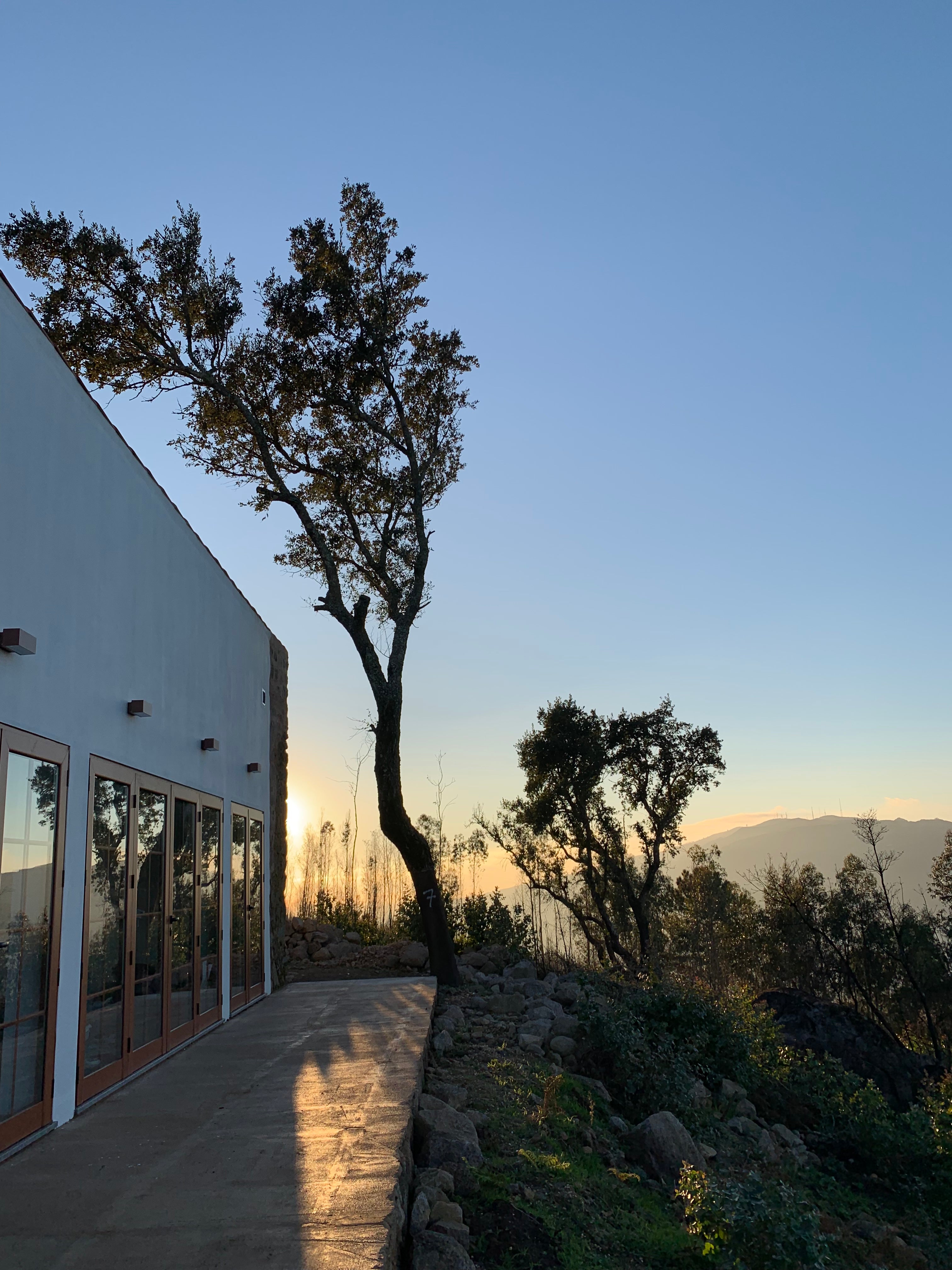 Yoga Retreats – Dein VIBE Yoga Retreats – Dein VIBE